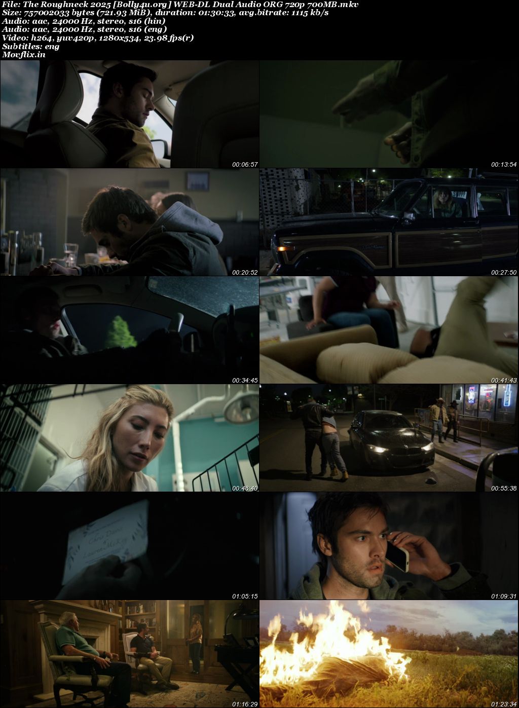 The Roughneck 2025 WEB-DL Hindi Dual Audio ORG Full Movie Download 1080p 720p 480p The Roughneck 2025 WEB-DL Hindi Dual Audio ORG Full Movie Download 1080p 720p 480p