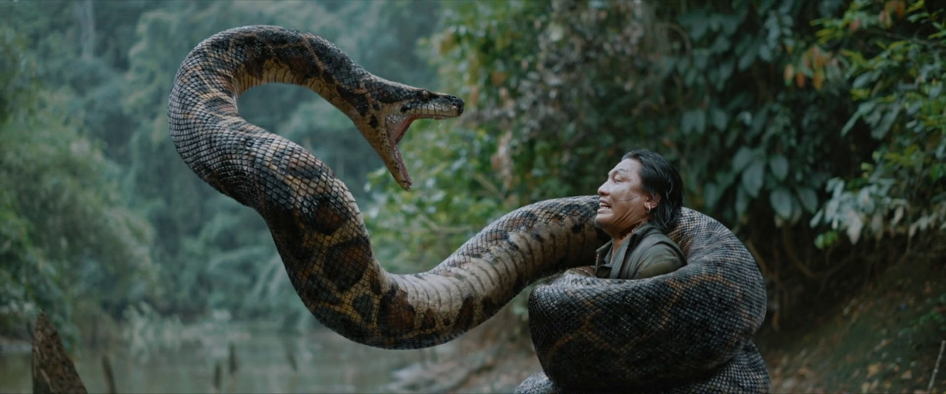 Anaconda 2024 Dual Audio HDRip || 300Mb || 720p || 1080p || 2160p