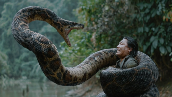 vlcsnap-2026-02-15-01h33m53s037