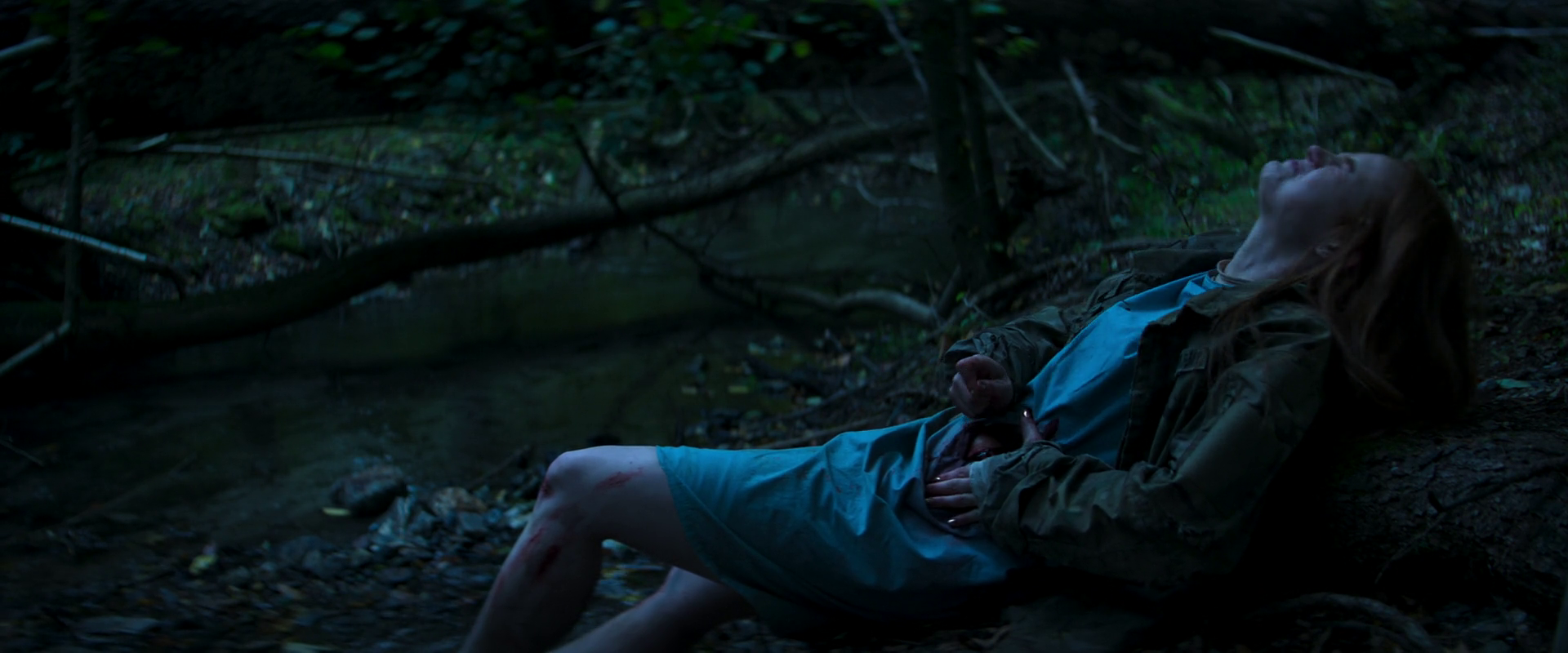 The Strangers: Chapter 2 2025 Dual Audio HDRip || 300Mb || 720p || 1080p || 2160p