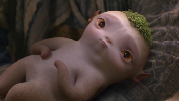 vlcsnap-2026-02-22-20h42m17s527