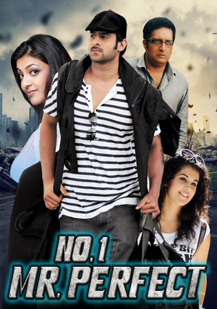 No 1 Mr Perfect 2013 WEB-DL Hindi Dubbed ORG Full Movie Download 1080p 720p 480p