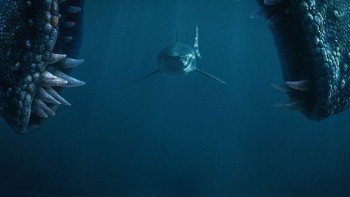 x37IK9WWhuzi7tgyMT4ff3kiT5X