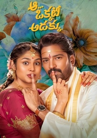 Aa Okkati Adakku 2024 WEB-DL UNCUT Hindi Dual Audio ORG Full Movie Download 1080p 720p 480p
