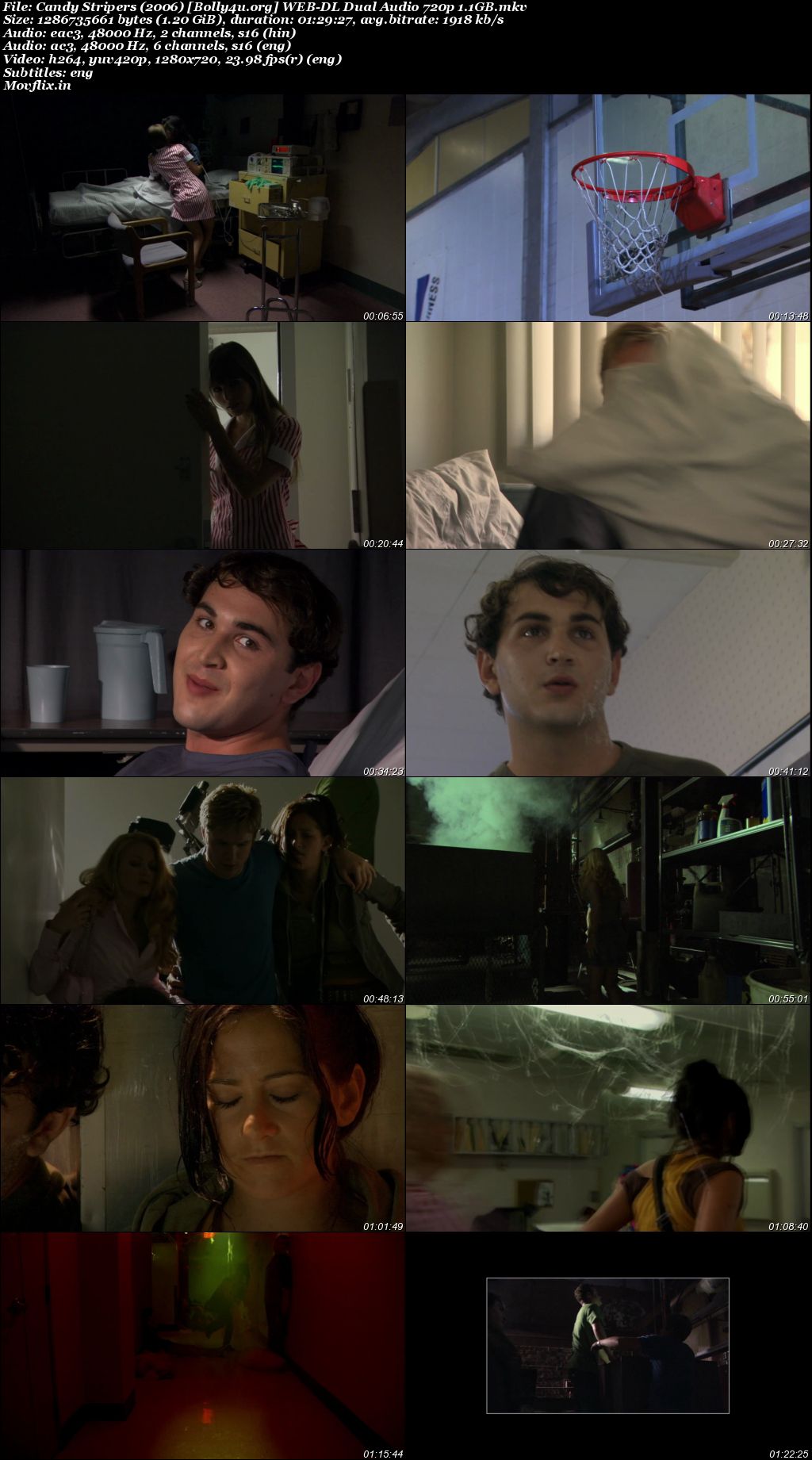 Candy Stripers 2006 WEB-DL UNRATED Hindi Dual Audio Full Movie Download 720p 480p