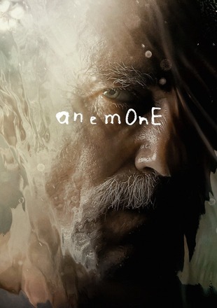 Anemone 2025 Anemone 2025