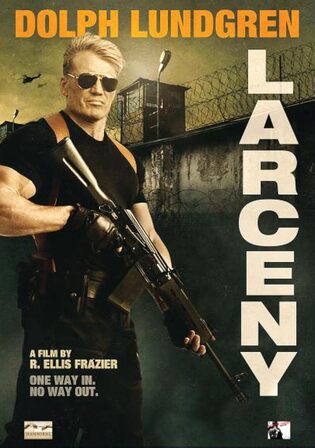 Larceny 2017 WEB-DL Hindi Dual Audio Full Movie Download 720p 480p