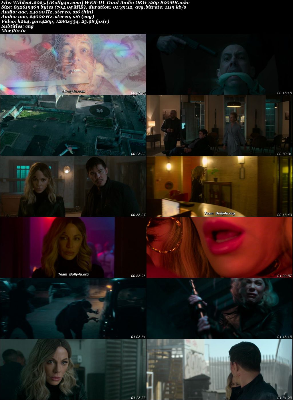 Wildcat 2025 WEB-DL Hindi Dual Audio ORG Full Movie Download 1080p 720p 480p