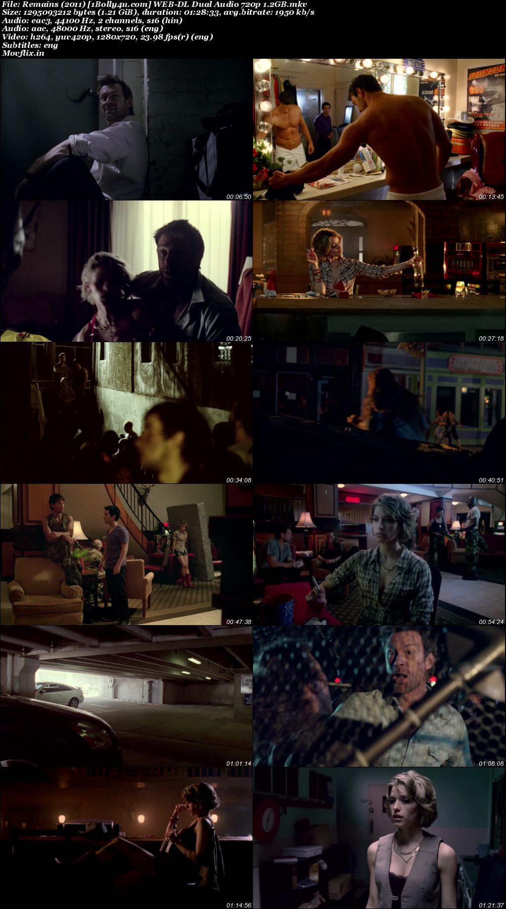Remains 2011 WEB-DL Hindi Dual Audio Full Movie Download 720p 480p