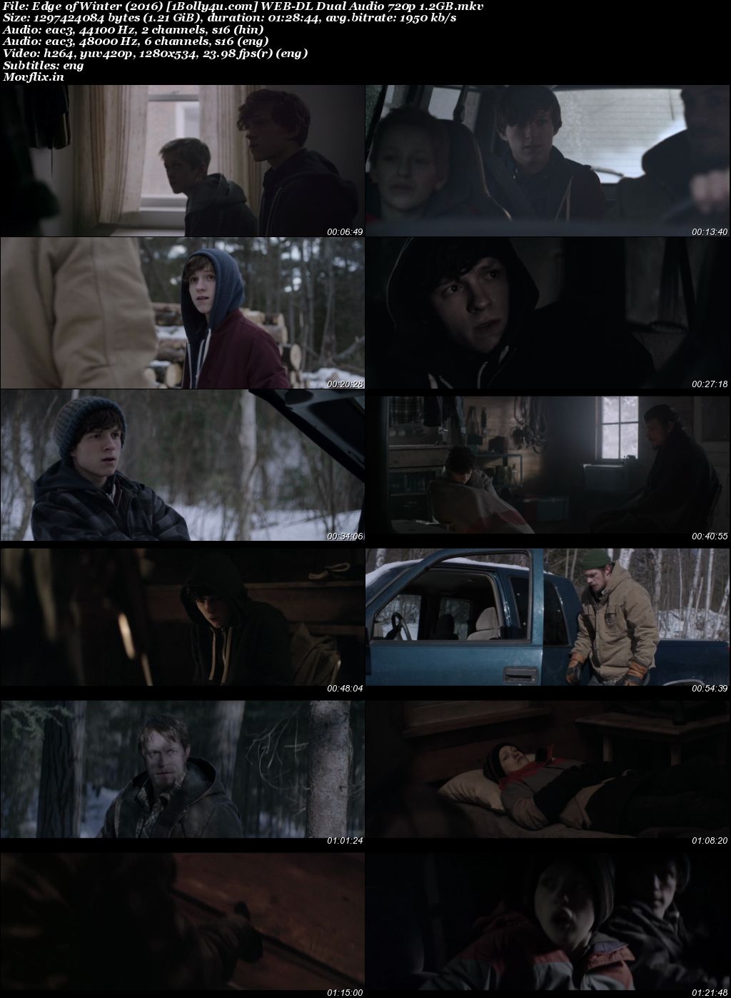 Edge of Winter 2016 WEB-DL Hindi Dual Audio Full Movie Download 720p 480p