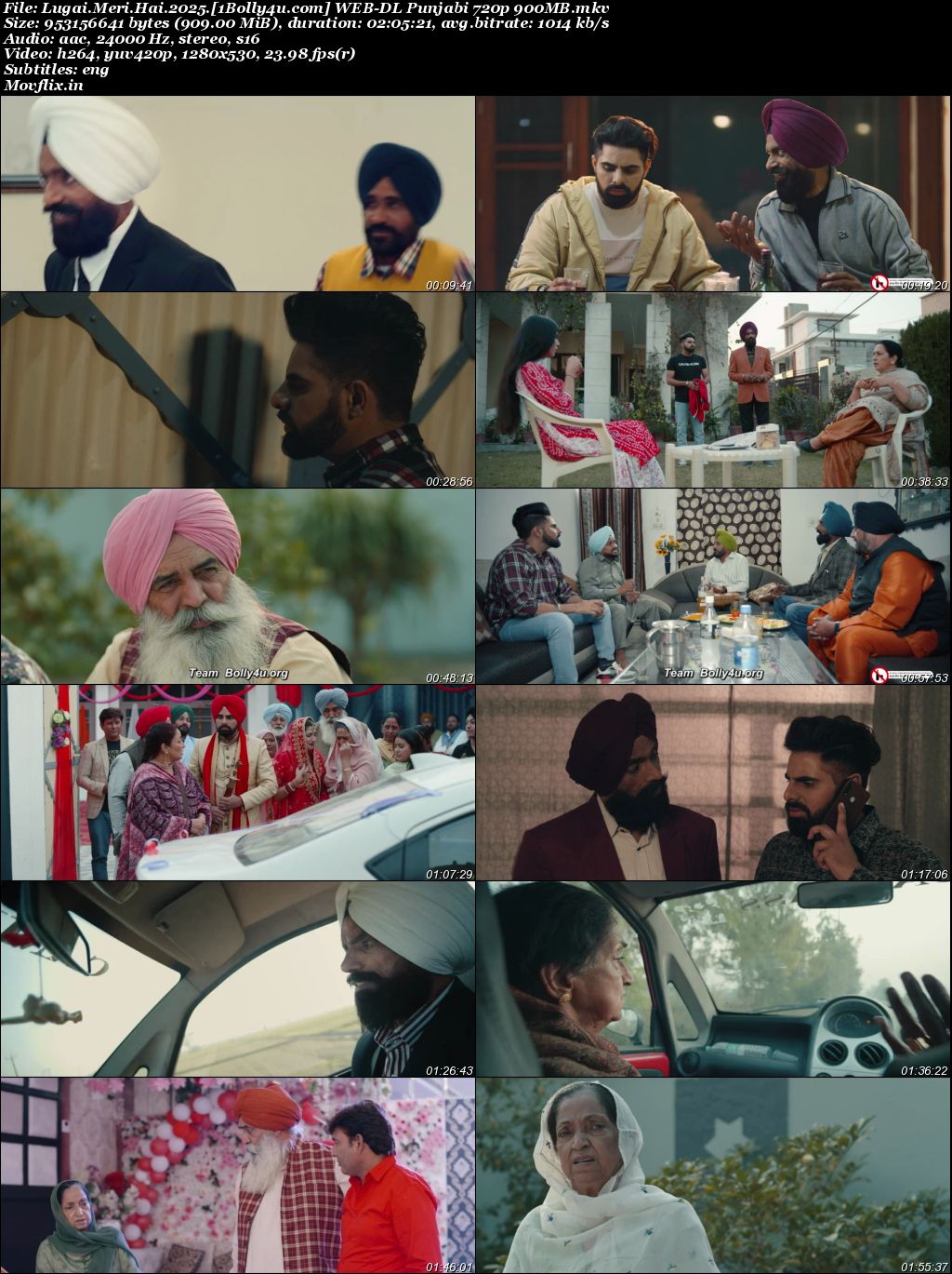 Lugai Meri Hai 2025 WEB-DL Punjabi Full Movie Download 1080p 720p 480p