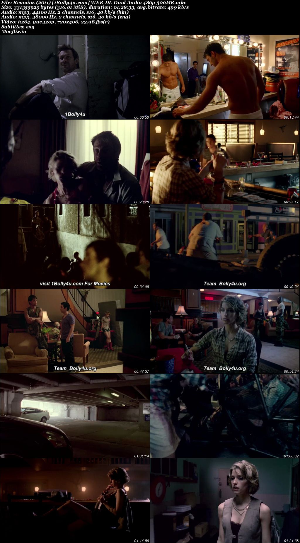 Remains 2011 WEB-DL Hindi Dual Audio Full Movie Download 720p 480p