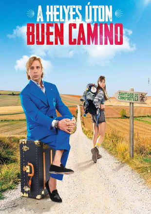 Buen Camino 2025
