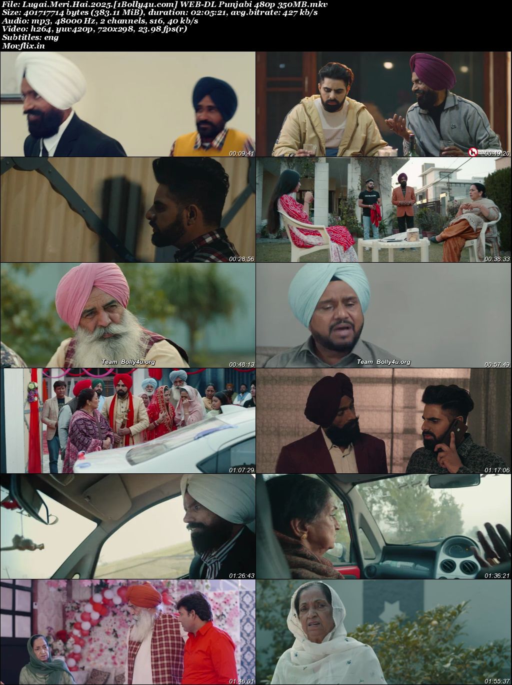 Lugai Meri Hai 2025 WEB-DL Punjabi Full Movie Download 1080p 720p 480p