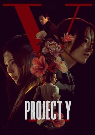 Project Y 2026 WEB-DL Hindi Dual Audio ORG Full Movie Download 1080p 720p 480p