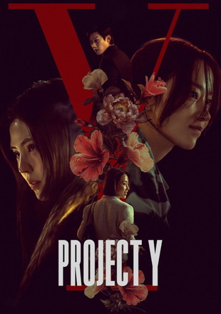Project Y