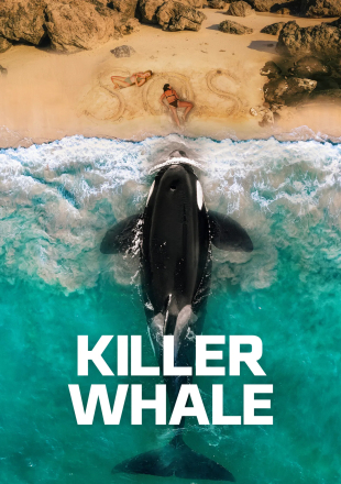 Killer-Whale.jpg