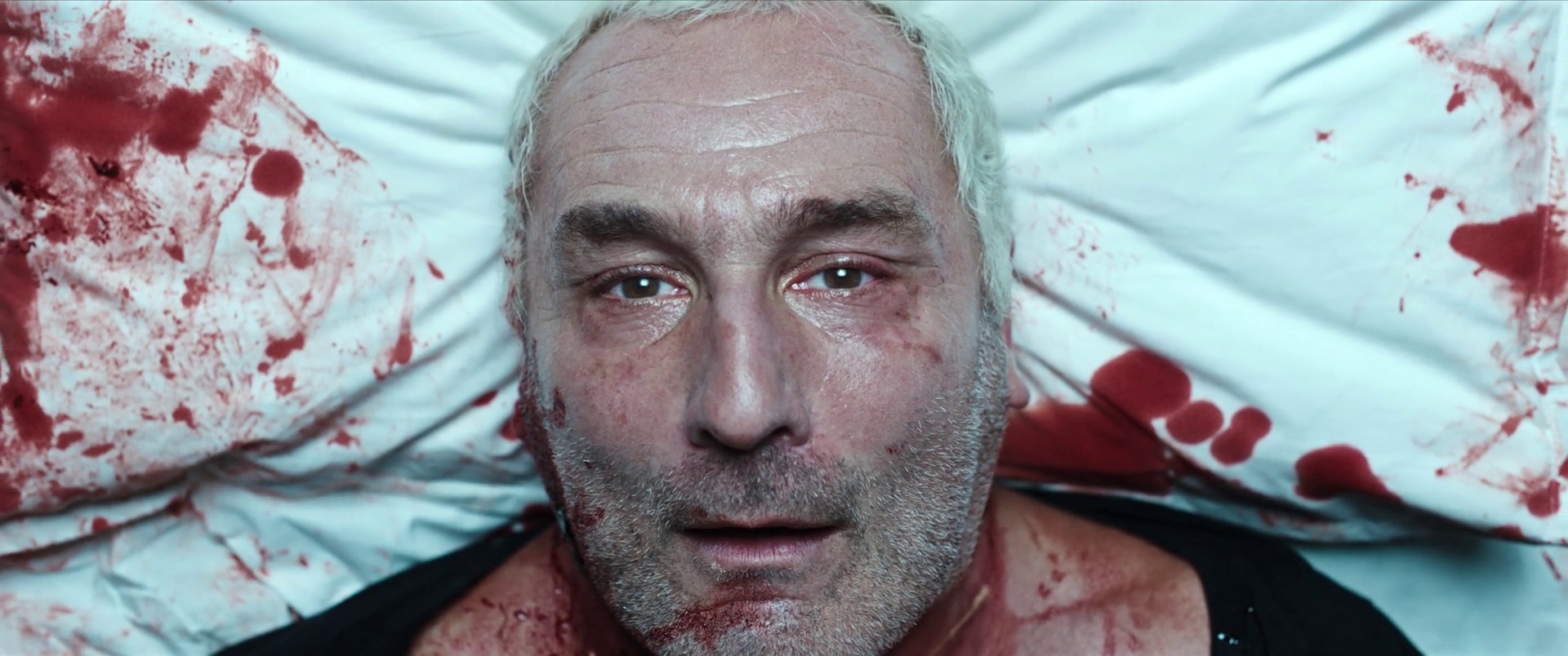 Dog 51 2025 Dual Audio HDRip || 300Mb || 720p || 1080p || 2160p