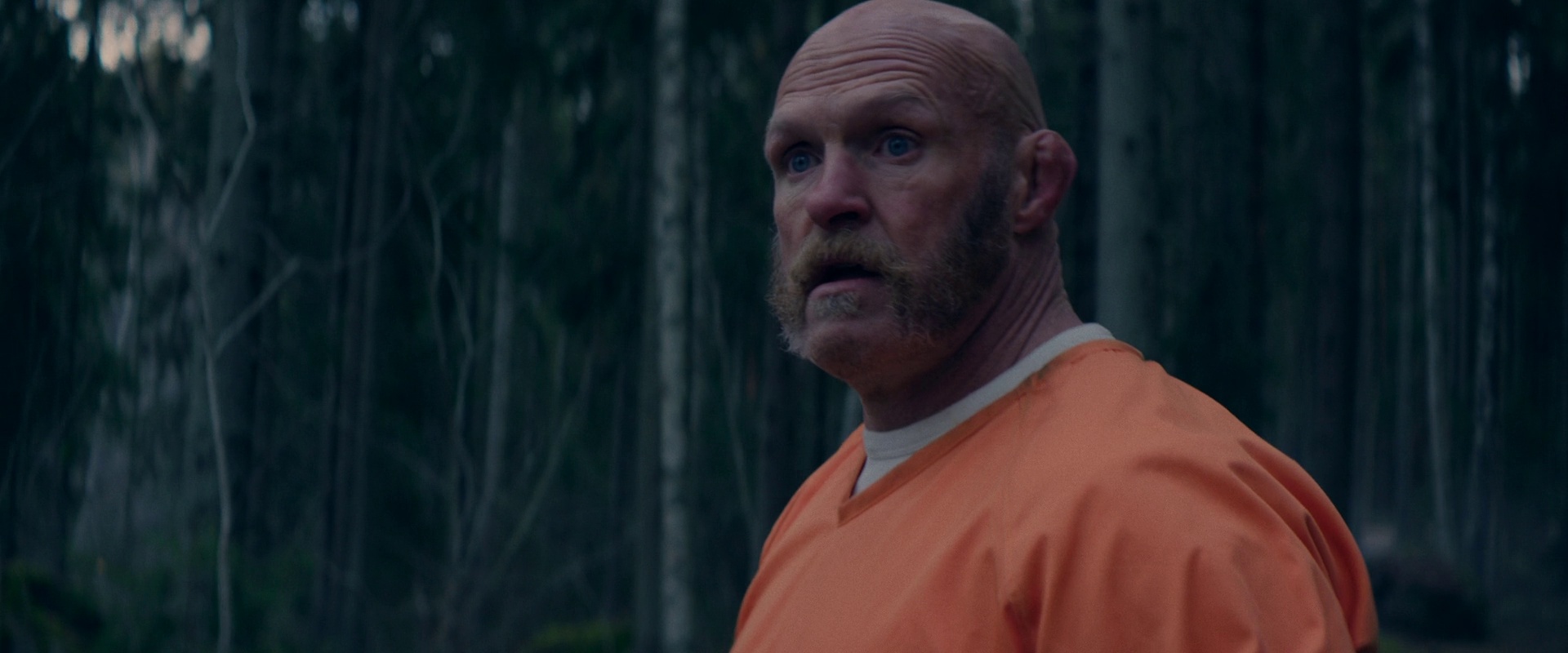 Over Your Dead Body 2026 Dual Audio HDRip || 300Mb || 720p || 1080p || 2160p