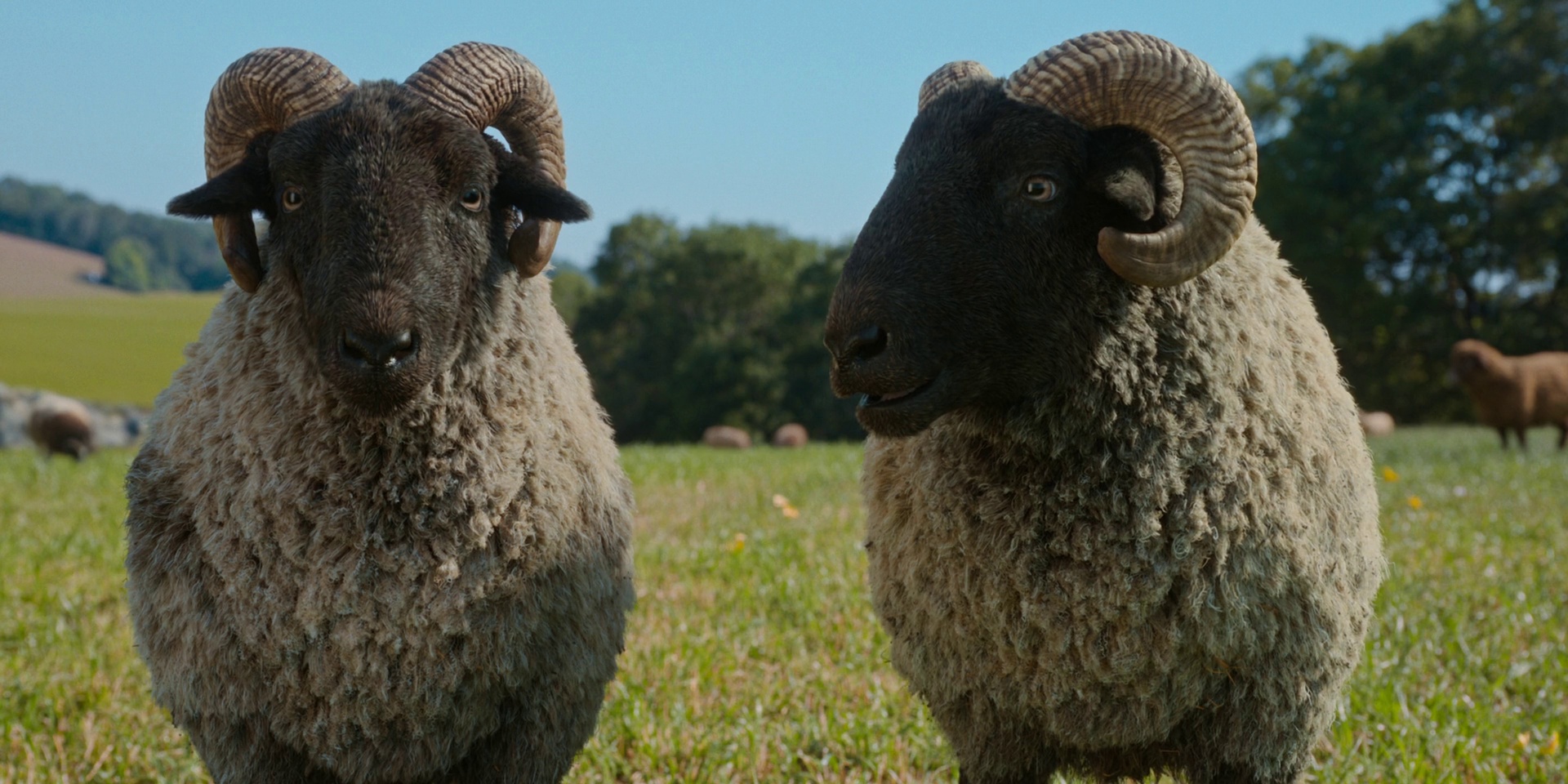 The Sheep Detectives 2026 Dual Audio HDRip || 300Mb || 720p || 1080p || 2160p