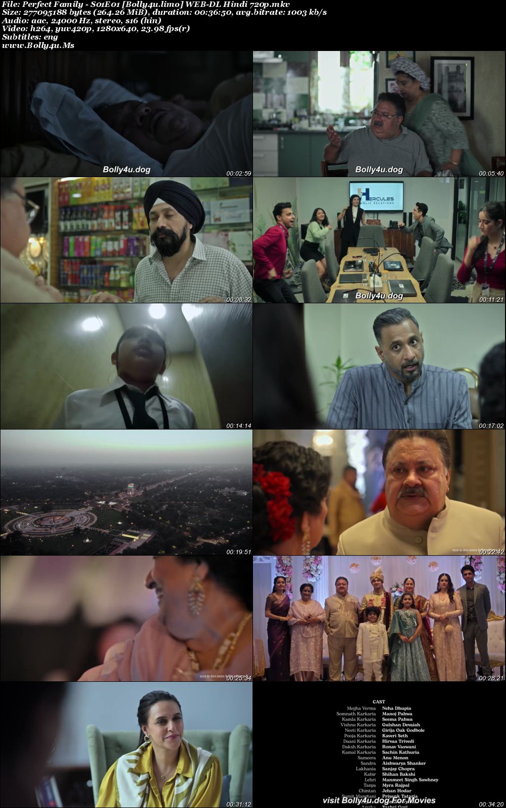 Perfect Family 2025 WEB-DL Hindi S01 Complete Download 720p