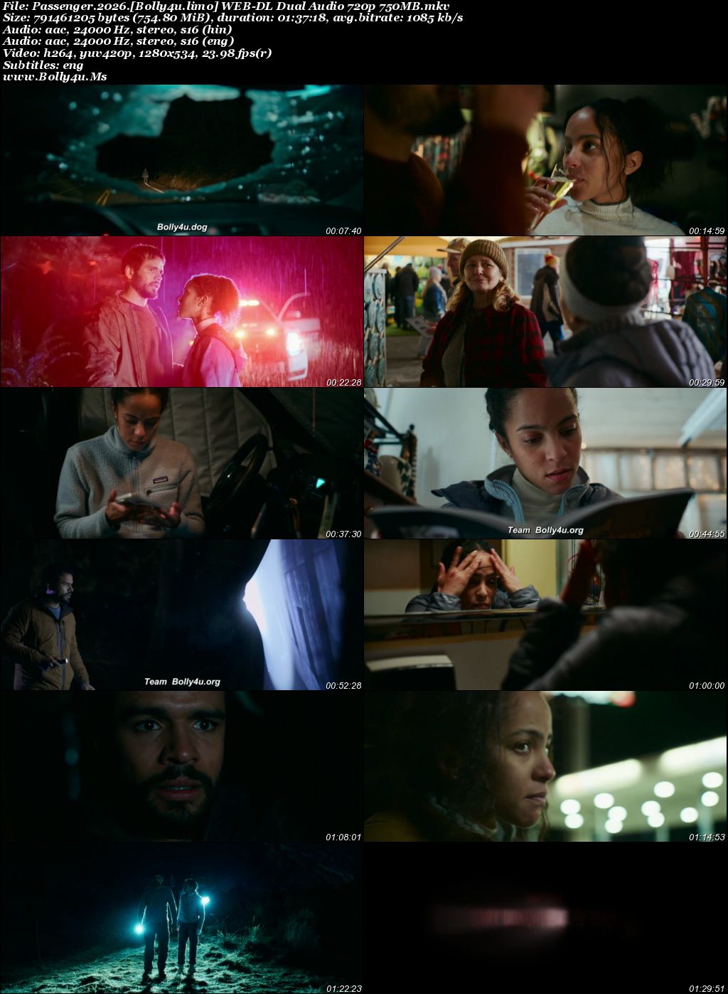Passenger 2026 WEB-DL Hindi Dual Audio ORG Full Movie Download 1080p  720p  480p