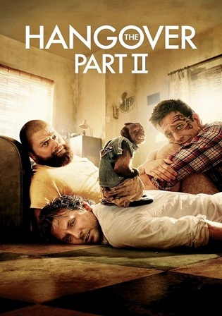 The Hangover Part II 2011 WEB-DL Hindi Dual Audio ORG Full Movie Download 1080p | 720p | 480p