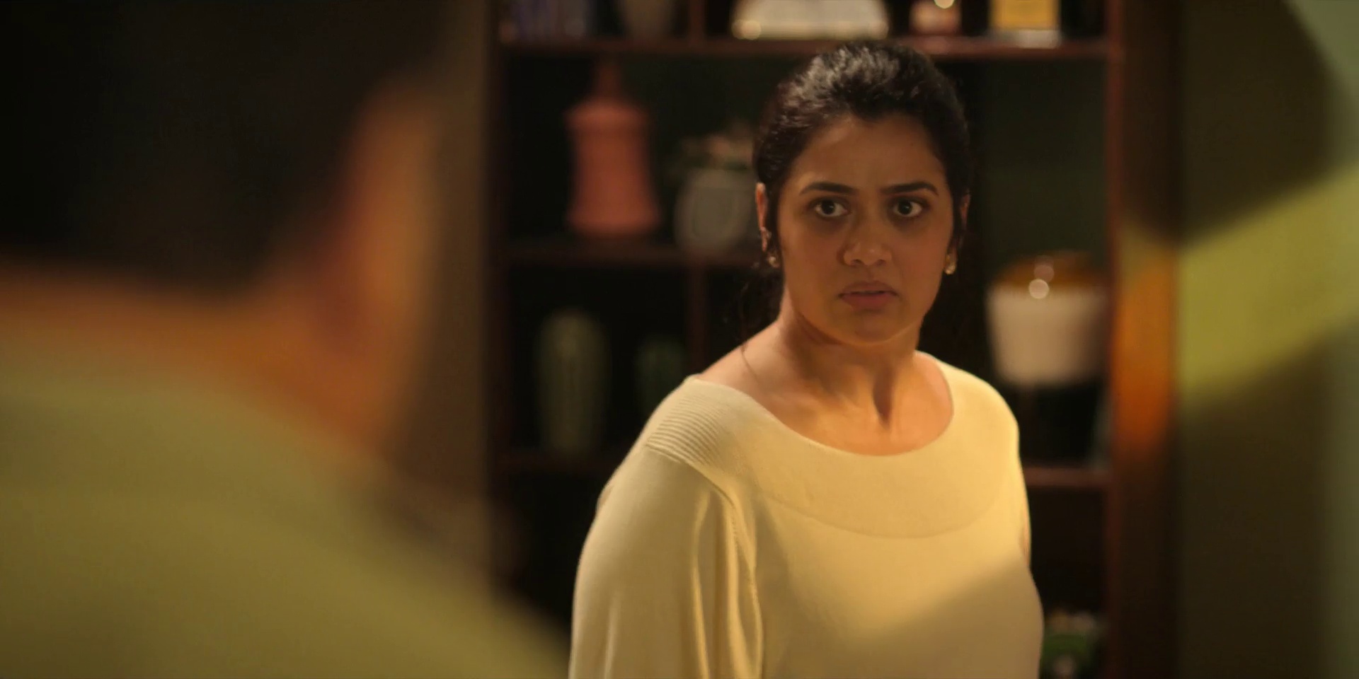Perfect Family (Season 1) WEB Series HDRip || 100Mb || 720p || 1080p