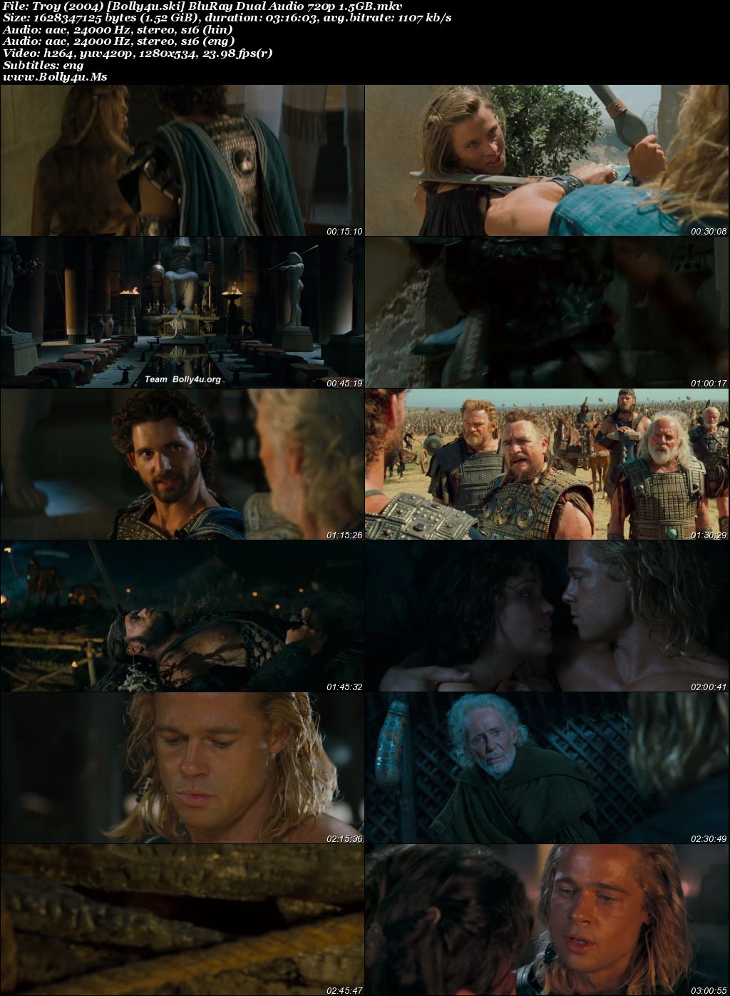 Troy 2004 BluRay Hindi Dual Audio ORG Full Movie Download 1080p  720p  480p