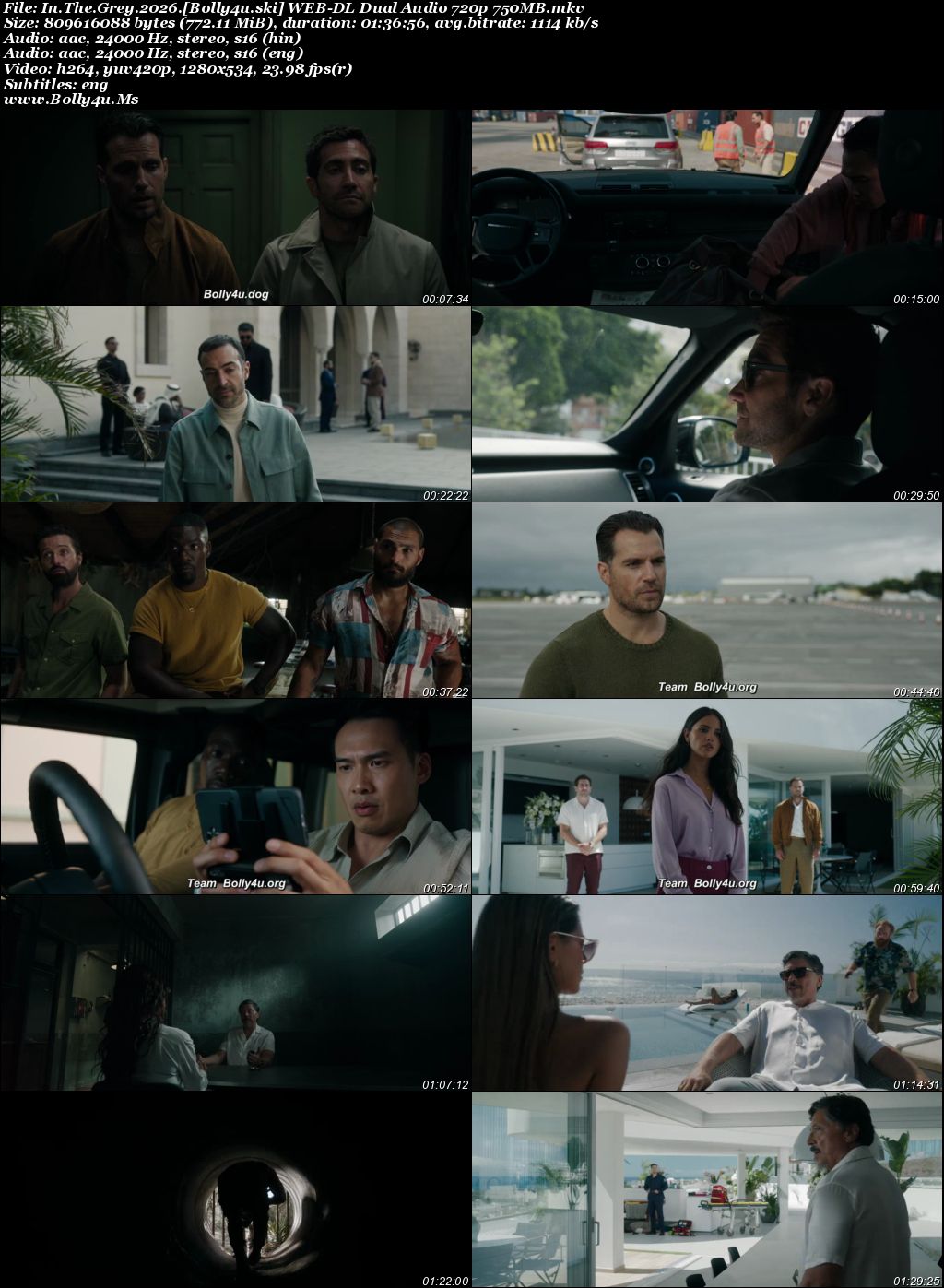 In The Grey 2026 WEB-DL Hindi Dual Audio ORG Full Movie Download 1080p 720p 480p In The Grey 2026 WEB-DL Hindi Dual Audio ORG Full Movie Download 1080p 720p 480p