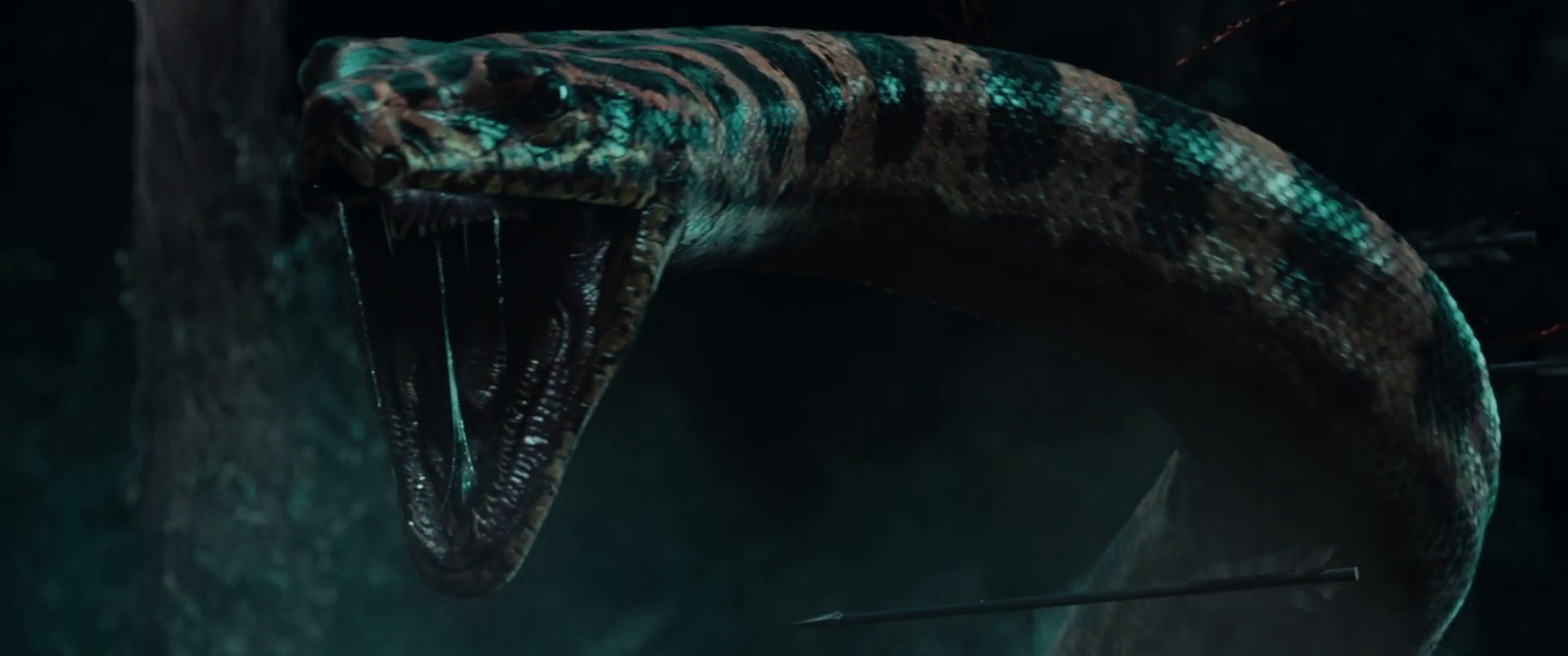 Snake Woman 2025 Dual Audio HDRip || 300Mb || 720p || 1080p || 2160p