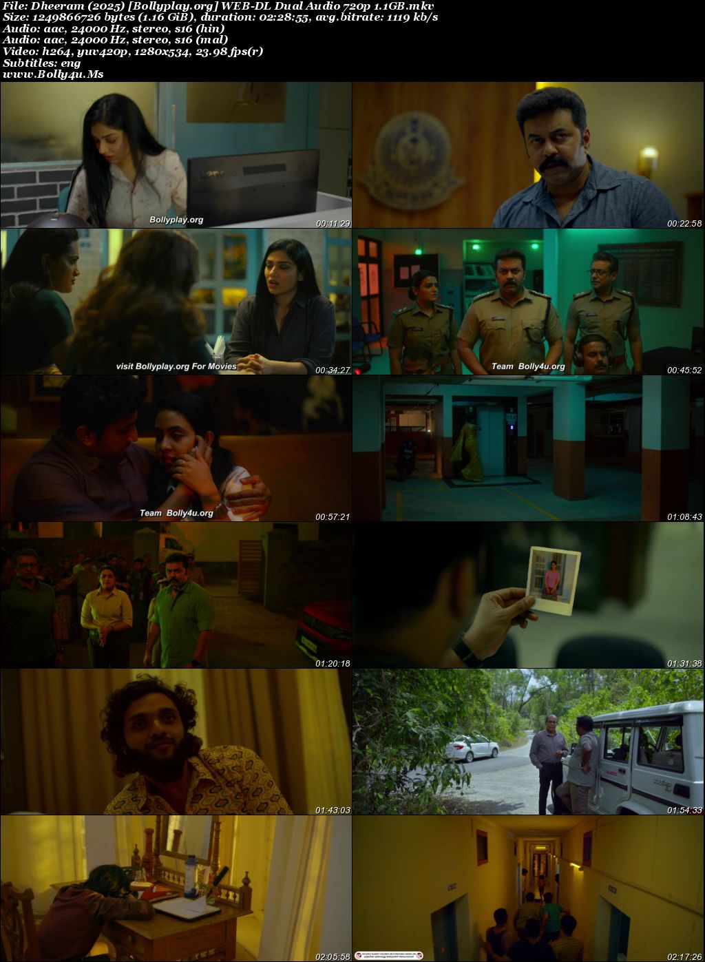 Dheeram 2025 WEB-DL UNCUT Hindi Dual Audio ORG Full Movie Download 1080p  720p  480p