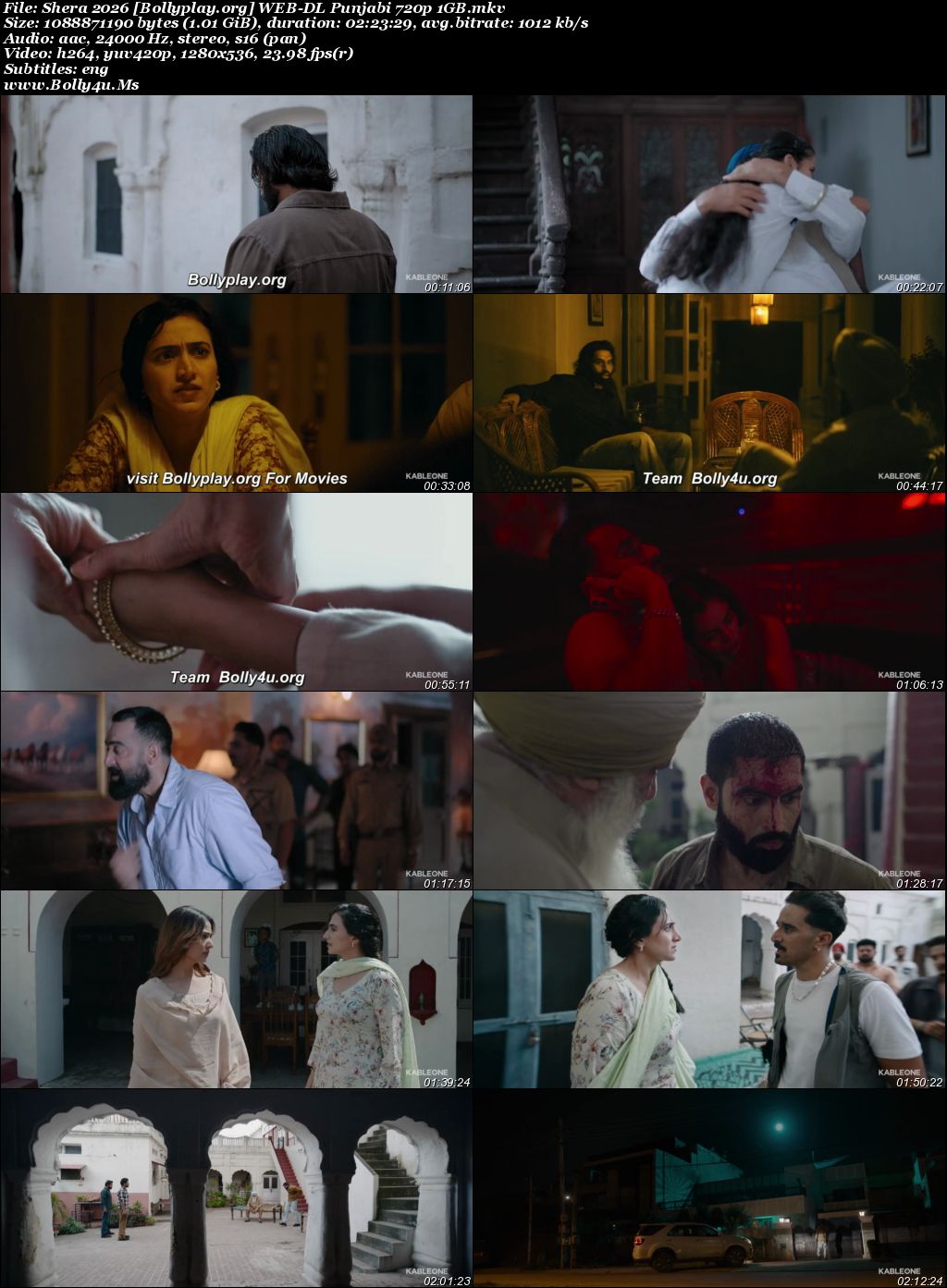 Shera 2026 WEB-DL Punjabi Full Movie Download 1080p  720p  480p
