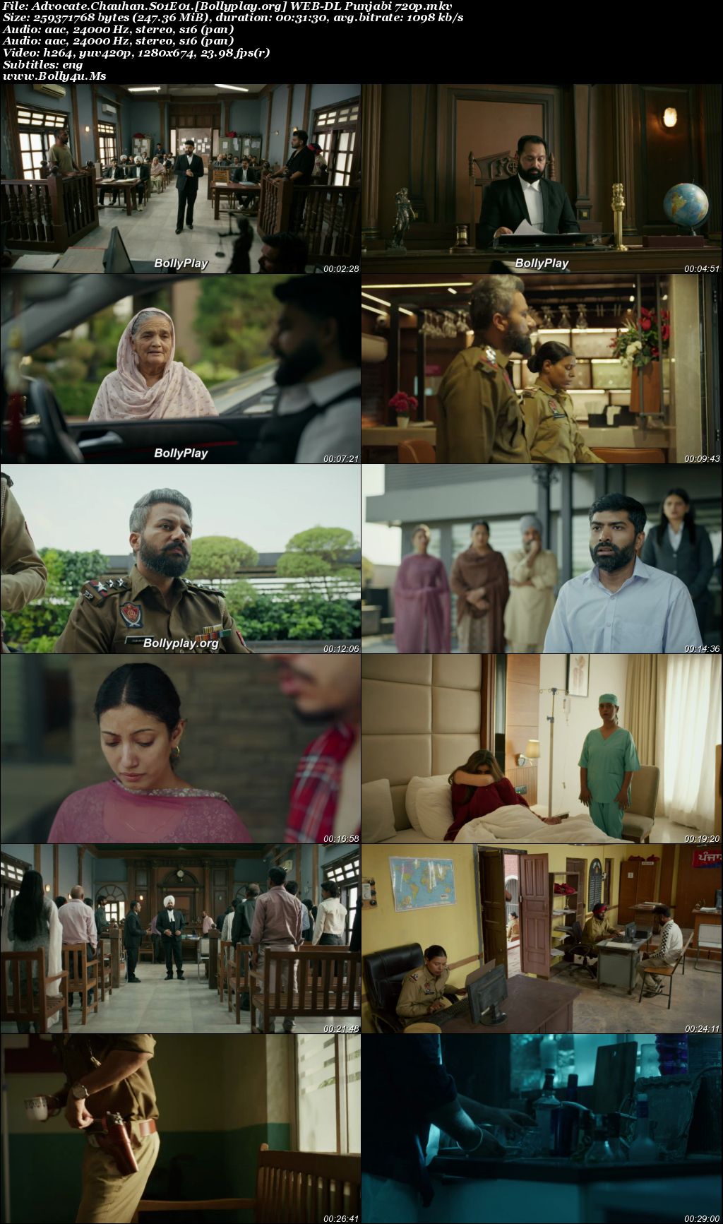 Advocate Chauhan 2026 WEB-DL Punjabi S01 Complete Download 720p  480p