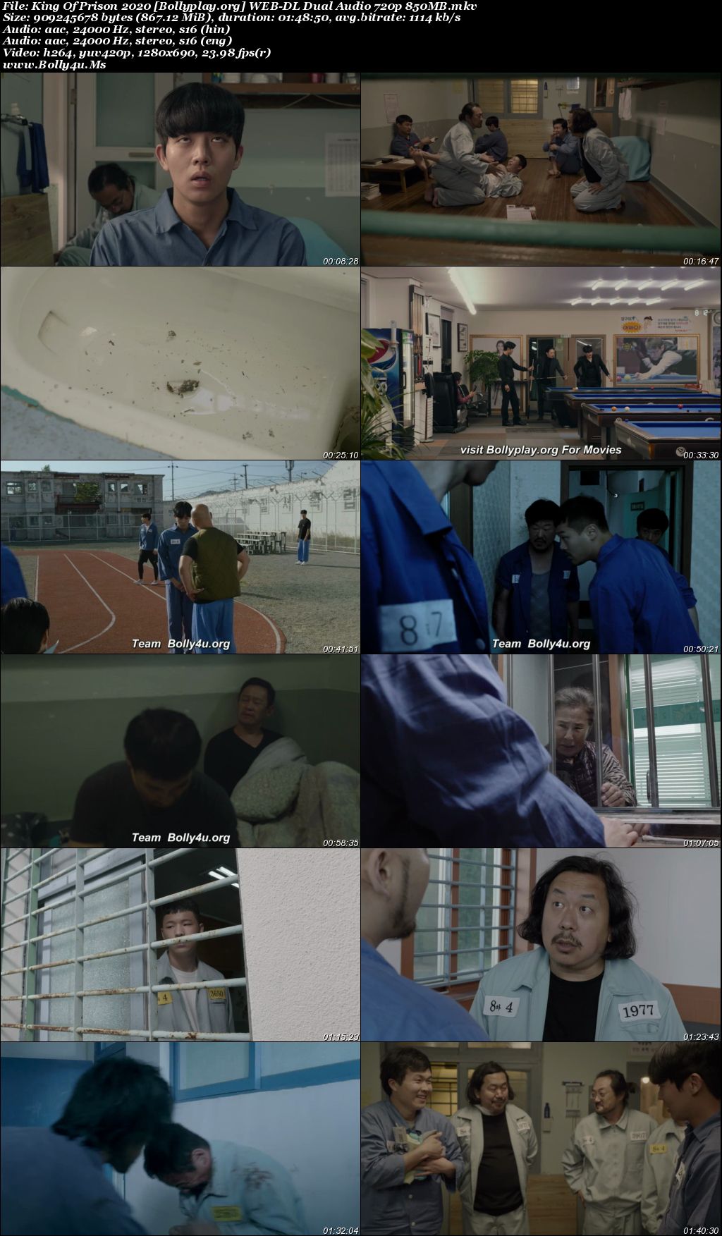 King Of Prison 2020 WEB-DL Hindi Dual Audio ORG Full Movie Download 1080p  720p  480p