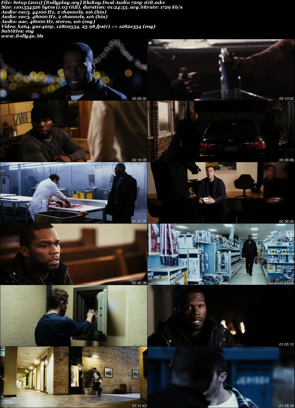 Setup 2011 BluRay Hindi Dual Audio Full Movie Download 1080p  720p  480p
