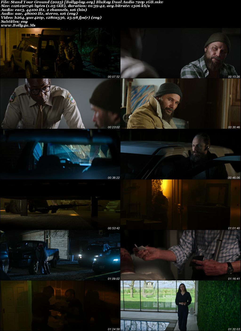 Stand Your Ground 2025 BluRay Hindi Dual Audio Full Movie Download 720p  480p