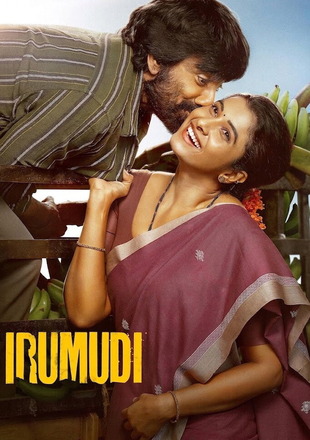 Irumudi