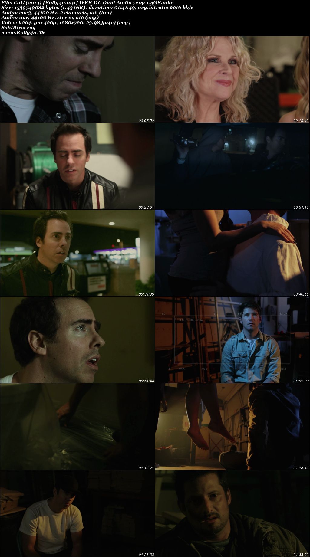 Cut! 2014 WEB-DL Hindi Dual Audio Full Movie Download 720p  480p