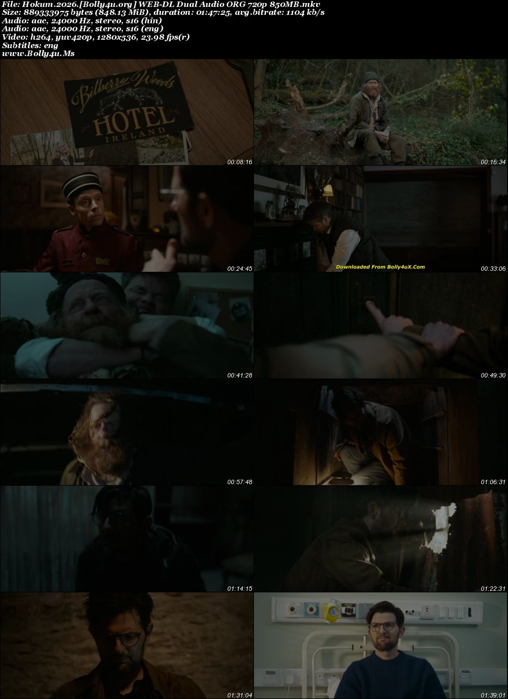 Hokum 2026 WEB-DL Hindi Dual Audio ORG Full Movie Download 1080p  720p  480p