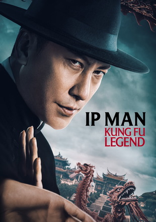 Ip Man Kung Fu Legend
