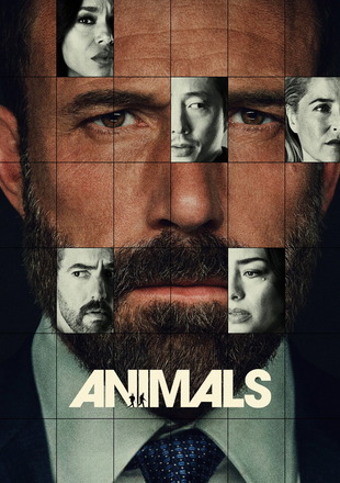 Animals 2026