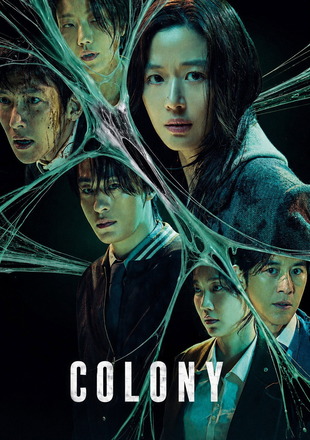 Colony